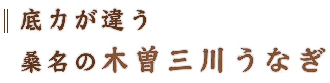 底力が違う