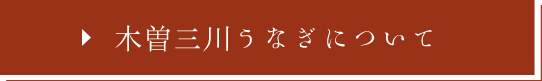 木曽三川うなぎについて