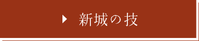 新城の技