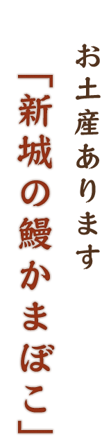 新城の鰻かまぼこ