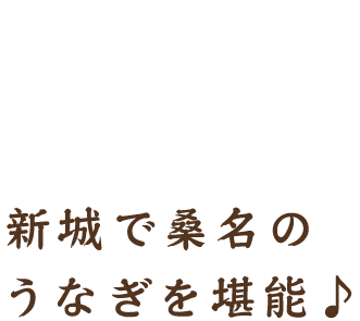 11:00開店
