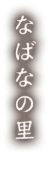 なばなの里