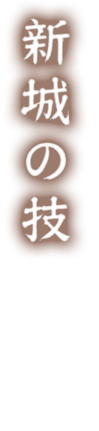 新城の技
