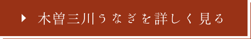 木曽三川うなぎを詳しく見る