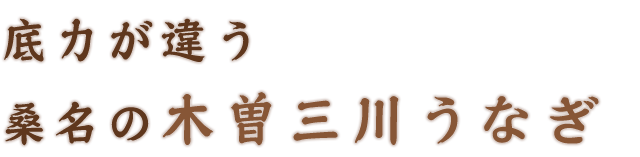 底力が違う