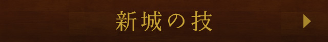 新城の技