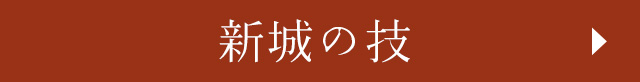 新城の技