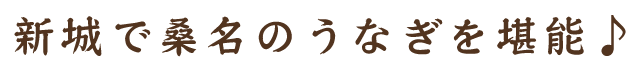 新城で桑名のうなぎを堪能♪